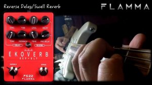 Flamma FS22 Ekoverb Delay + Reverb pedal