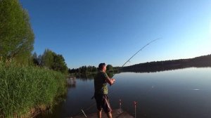 Ловля крупного толстолоба 200 метров от берега. Так я ещё не ловил???