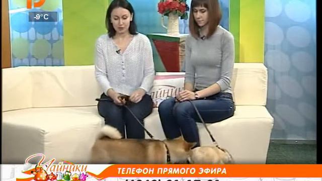 6ec32d5cdc 720 смотреть онлайн