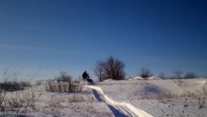 Мотобуксировщик алабай