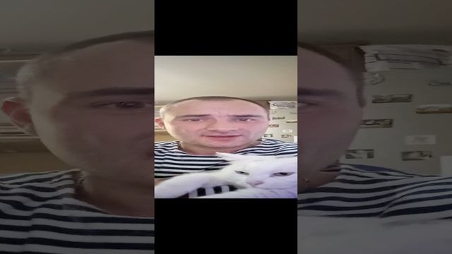 Подозрение кота #шутка #юмор #прикол #смех #забава #анекдот #диван #кот