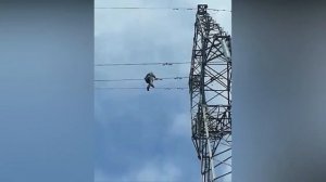 Монтаж виброгасителей на ЛЭП