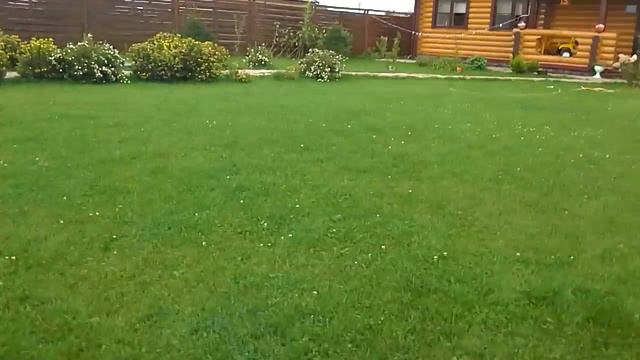 Наша дача!★★ смотреть онлайн