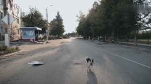 Суджа сегодня. Много разрушений и сгоревших домов. По городу мародерят украинские солдаты
