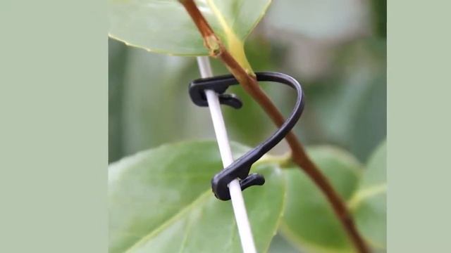 Сельскохозяйственные Садовые принадлежности для теплицы Зажимы с п смотреть онлайн