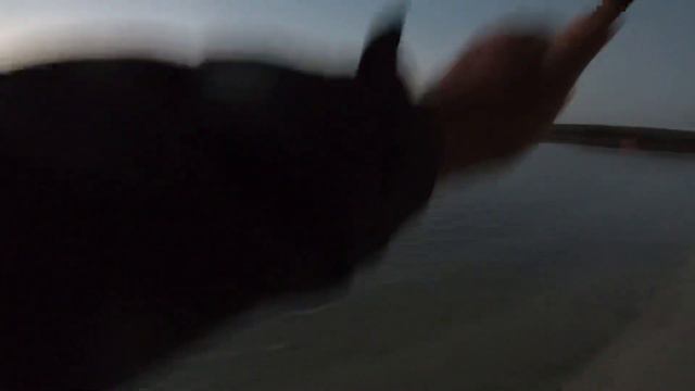 Живец для ловли саргана.