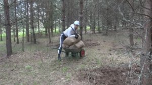 6 соток 4 мая 2023 года  Хроника.