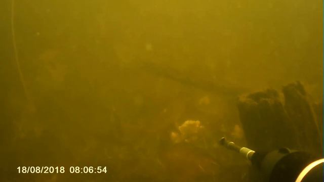 подводная охота 18 08 2018 смотреть онлайн