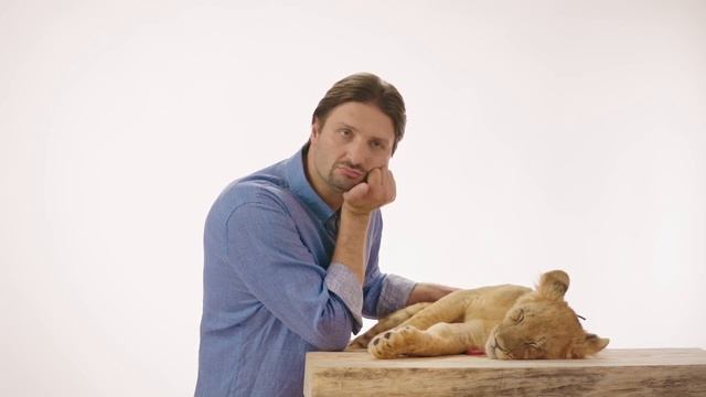 Как отучить собаку гадить дома? смотреть онлайн