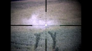 Цифровая насадка Sytong HT-77 LRF & Прицел Meopta Meostar R2 #снайпинг #stdsumrak #дмитрийсумрак
