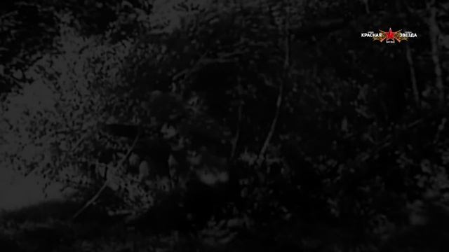 Его уважали МАРШАЛЫ и СТАЛИН! Фронтовой Разведчик Коняев. Военные Истории смотреть онлайн