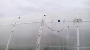 Теплица из ПВХ труб