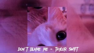 Don't blame me (sped up song)