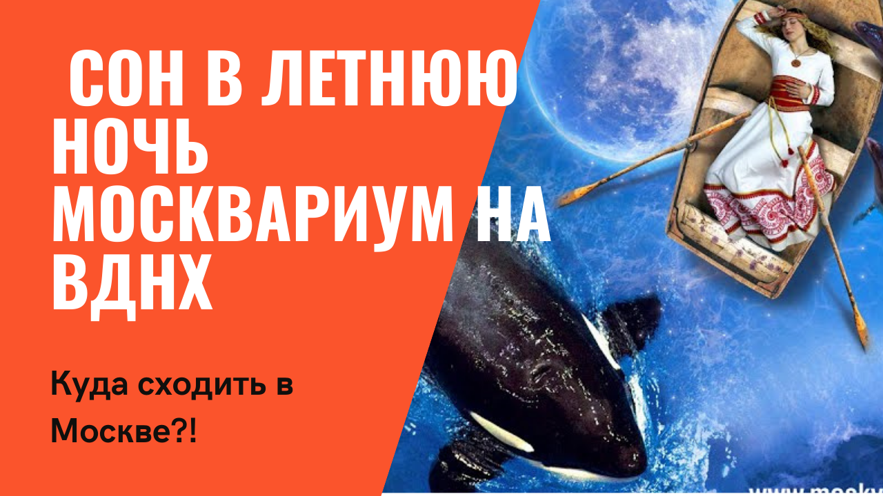 Авто путешествие по России с детьми! ВДНХ Москвариум. смотреть онлайн