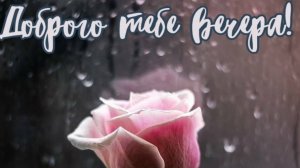 Доброго вечера - Желаю Вам замечательного вечера