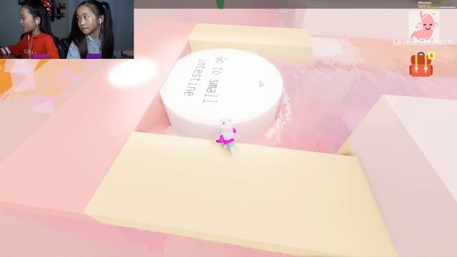 Digestive System Adventure Obby! / Roblox смотреть онлайн