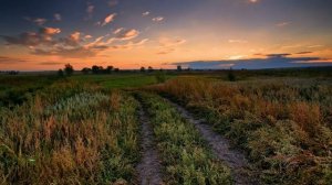 Константин Бальмонт  Безглагольность