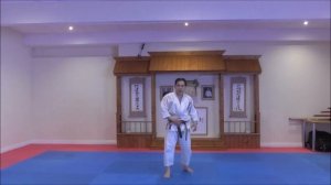 Mae tobi geri & Nidan geri commentary by SKIF Sensei Katsu TJ-Shuhari Shotokan Karate Association