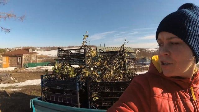 Заведу свиней, баранов, корову, лошадь и буду жить БЕЗ ЦИВИЛИЗАЦИИ И БЕЗ ДЕНЕГ В ДЕРЕВНЕ.. смотреть онлайн