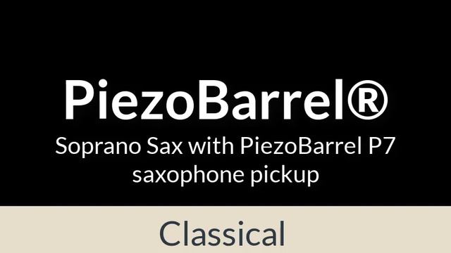 PiezoBarrel P7 for Soprano Sax смотреть онлайн