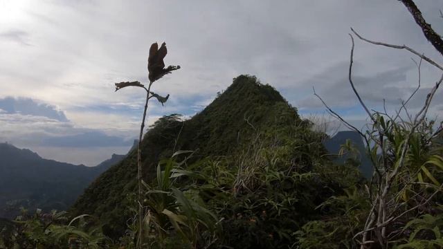 Французская Полинезия Восхождение на Гору Rotui в Сезон Дождей \ French Polynesia Hike to Mt. Rotui