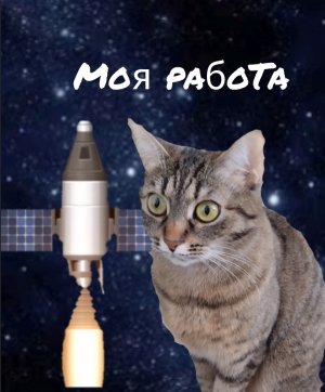 МАРУСЯ запускает РАКЕТУ в КОСМОС! Кошечка Маруся.#космос #ракета #кошки #запуск