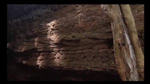 Гигантские змеи - пещера Нака, Таиланд.
