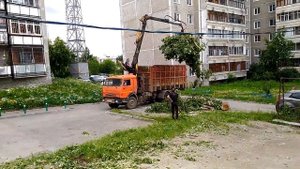 Вывоз порубочных остатков в Екатеринбурге и области