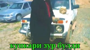 Яккабог посёлка Купкари#кашкадарё