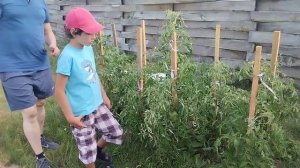 16.07.2023 Всей семьёй на велосипедах до участка Зенита