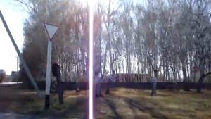 Овсянка Зейского района