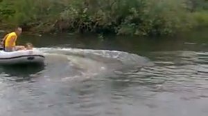 Навигатор 290 эконом + Sea Pro 3