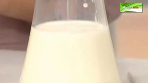 Закваска Куэмсила - как приготовить кумыс?