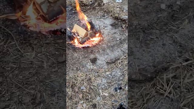 Холодное копчение рыбы в походе?