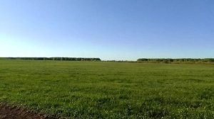 Степь оренбургская, вольный простор!: видео-зарисовка, посвящённая  Дню степи.mp4