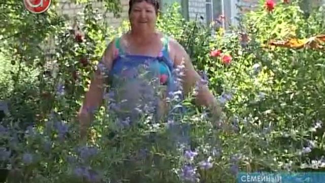 Оздоровление северян смотреть онлайн