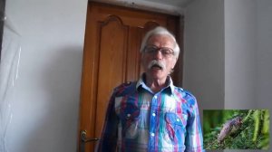 Что сказала ей Кукушка-Ку Ку-да -Ку Ку- И Кукушка улетела