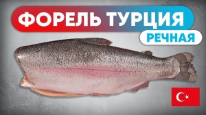 ОБЗОР Речная ФОРЕЛЬ из Турции. Как выбрать лосось? Сергей Лигай показал как разделать красную рыбу
