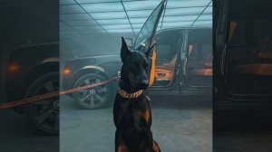 Салам всем пацанам я кричу своим братанам EKSI, KLAVA BRAVO - Salam