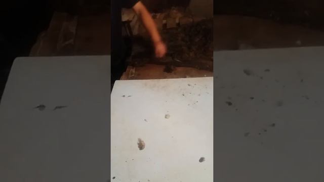 Машинка для стрижки овец Kaison 500 (На производстве) смотреть онлайн