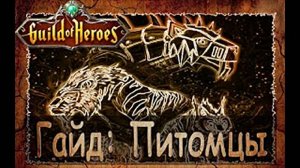 Питомцы в Гильдии Героев расскажу все по шагам.