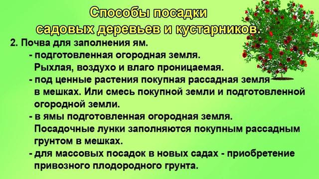 Как посадить саженцы плодовых деревьев и кустарников