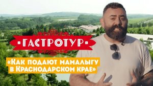 Как подают мамалыгу в Краснодарском крае // Гастротур. 6 выпуск