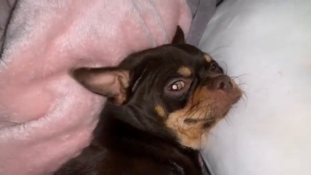 Всем спокойной ночи и самых приятных снов. смотреть онлайн