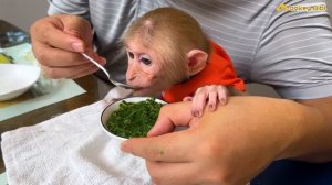 BiBi will poop easier when eating sweet potato leaf soup!