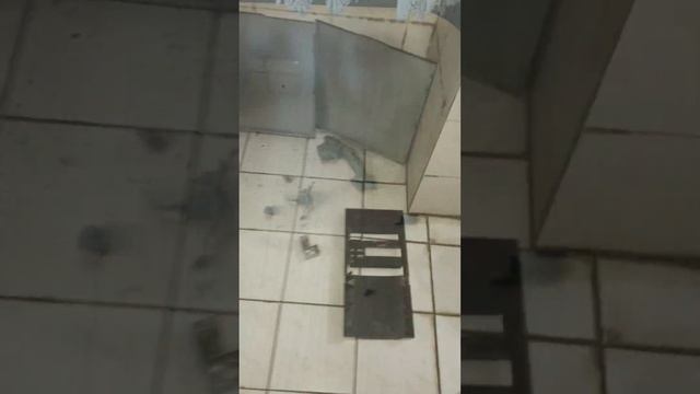 ASMR TADINDA #1 смотреть онлайн