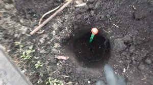 Как согреть грунт в теплице для ранней высадки томатов.