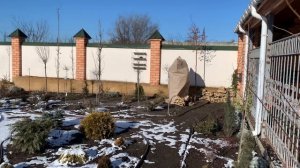 Садовая дорожка своими руками. Ландшафтный дизайн участка.