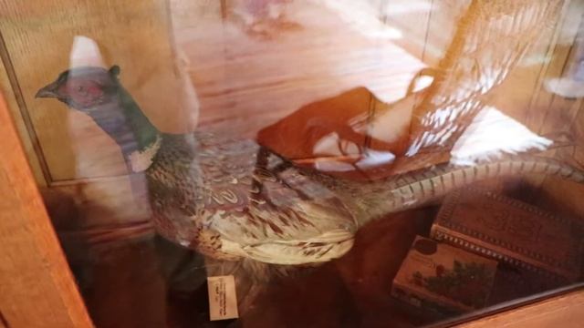 Limberlost State Historic Site смотреть онлайн