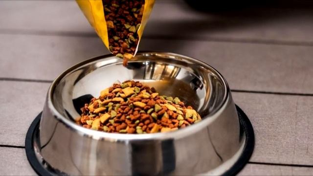 Пёс смотрел, как хозяин что-то подсыпал ему в миску и доверчиво вилял хвостом, невероятная жесткост смотреть онлайн